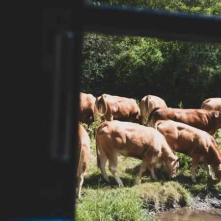 Hotel Rackésmillen Enscherange