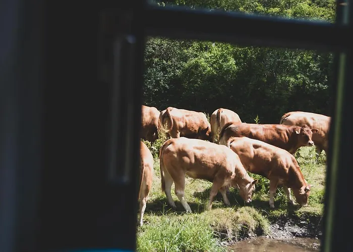 Szálloda Rackésmillen Enscherange